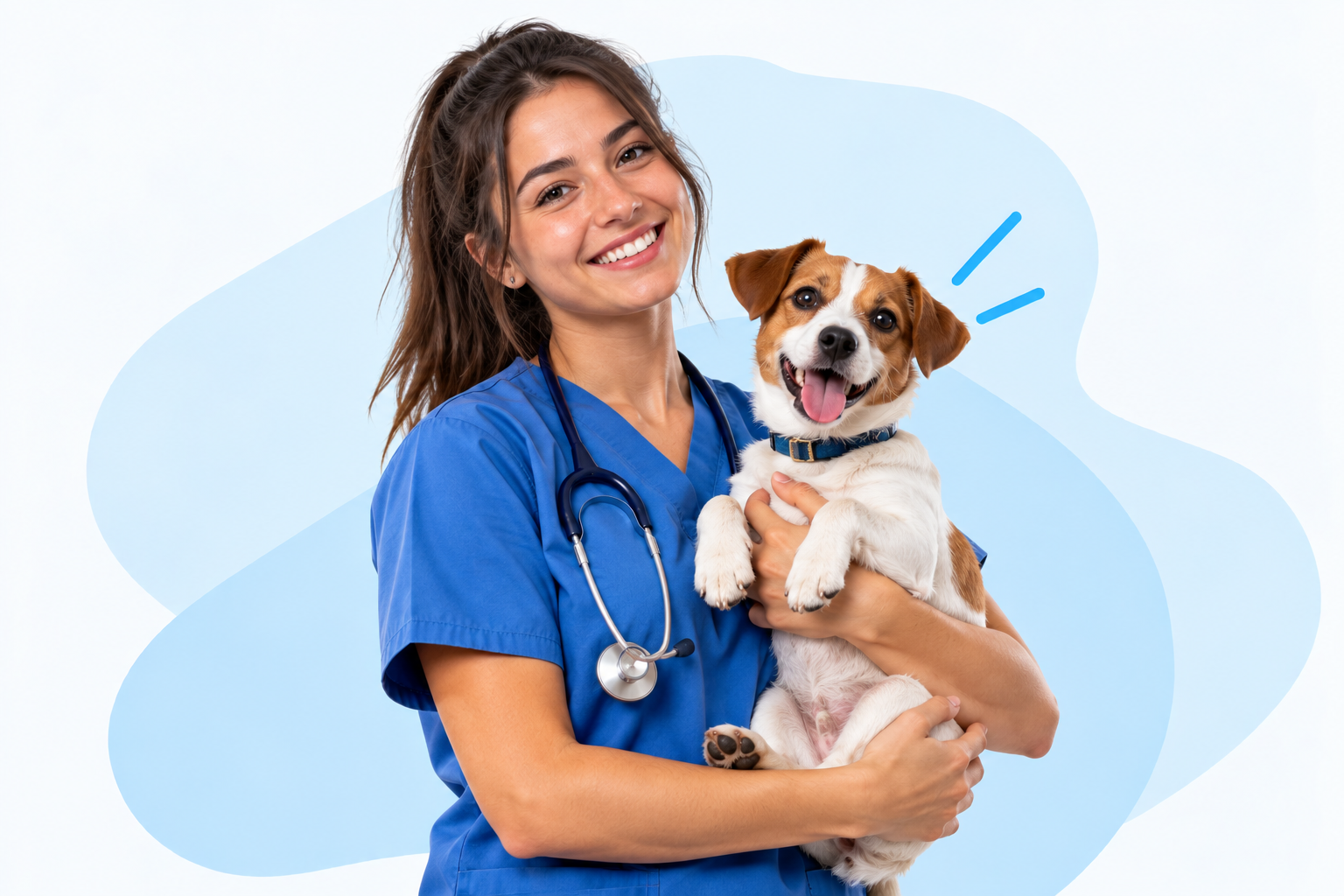 Profesionales y servicios en Agenduy